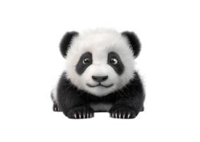 Cute Panda Cub Close-Up Portrait. Isolated on transparent background png