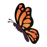 Butterfly illustration isolated vector