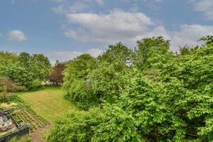 A view of a yard with a tree in the foreground photo