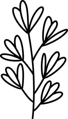 Doodle leaves on branch clipart Sketch image