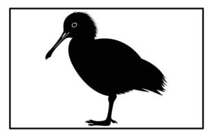 Kiwi Bird silhouette For Print, Kiwi Bird Clipart, Kiwi Bird Illustration vector