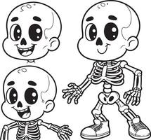 Different parts of the skeleton vector