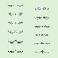 Set of hand drawn floral design elements vector