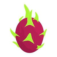 Dragon Fruit Is A Fruit That Has A Sweet Taste And Has A Soft And Juicy Texture. This Fruit Grows Widely In Tropical And Subtropical Areas vector