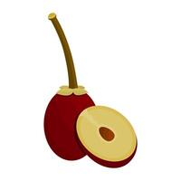 Kecik Sapodilla Fruit Is A Fruit That Has A Sweet Taste And Soft Texture. This Fruit Grows A Lot In Tropical Areas vector