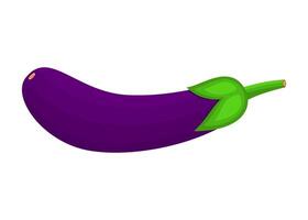 Eggplant Is A Fruit That Has A Soft Taste, Smooth Texture, Chewy And Slightly Creamy. This Fruit Grows Widely In Tropical And Subtropical Climates vector