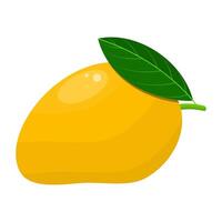 Mango Is A Fruit That Has A Sweet, Slightly Sour Taste, A Soft Texture And A Little Fiber. This Fruit Grows A Lot In Tropical And Sub-Tropical Areas vector