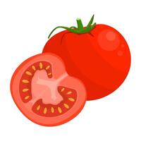 Tomato Is A Fruit That Has A Distinctive Sweet, Sour, Juicy Taste. This Fruit Grows In Many Climates vector
