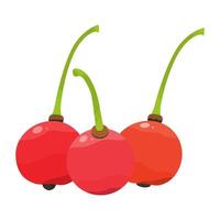 Kersen Fruit Is A Fruit That Has A Fresh Sweet And Sour Taste With A Soft And Watery Texture. This Fruit Grows A Lot In Tropical Climates vector