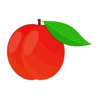 Peach Is A Fruit That Has A Sweet, Slightly Sour, Juicy And Fresh Taste. This Fruit Grows In Many Countries Of The World With A Warm Climate vector