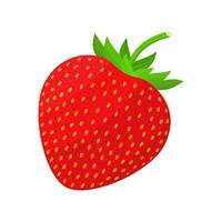 Strawberry Is A Fruit That Has A Fresh Sweet, Sour And Juicy Taste. This Fruit Grows In Many Different Climates vector