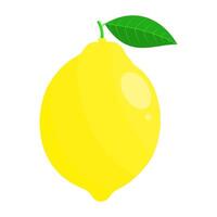 Lemon is a fruit that has a sour taste vector