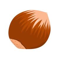 Candlenut Fruit Is A Fruit That Has A Distinctive Bitter Taste And Is Usually Processed Into Food. This Fruit Grows A Lot In Tropical Climates vector