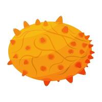 Kiwano Or Horned Melon Is A Fruit That Has A Mixed Taste Of Raisins And lemon, With A Hint Of Cucumber Or Watermelon vector
