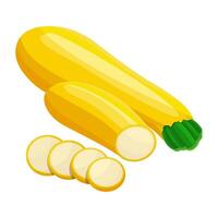 Fresh Whole Zucchinis in Design vector