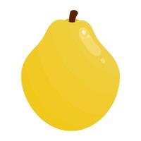 Quince Fruit Is A Fruit That Has A Unique Sour, Astringent Taste. This Fruit Usually Grows In Subtropical Climates vector