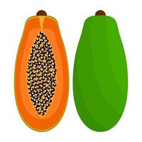 Papaya Is A Fruit That Has A Sweet, Slightly Sour Taste And A Soft Texture. This Fruit Grows A Lot In Tropical And Sub-Tropical Areas vector