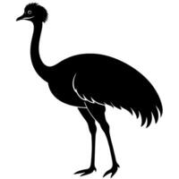 An ostrich silhouette on a white background vector