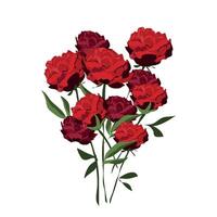 peonias flower in red color forming a bouquet vector