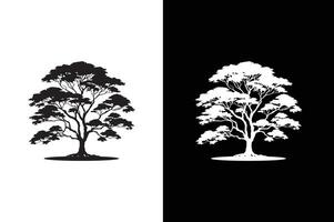 Tree with leaves. Isolated tree icon silhouette on white black background vector