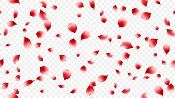 Rose petal red color seamles pattern background illustration. floral backdrop vector