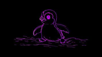 Neon frame effect, Adorable Penguin on Ice on black background video