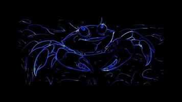 Neon frame effect, Cheerful Crab on the Shore on black background video