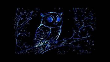 Neon frame effect, Playful Charmed Owl on black background video