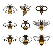 honey bee element set design vector