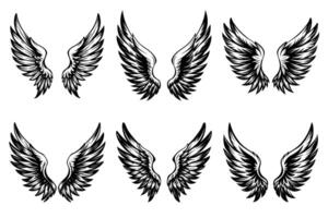 A set of illustrations with spread wings as design elements vector