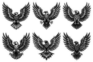A set of images of a black eagle with spread wings vector