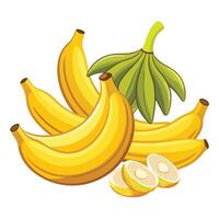 A bunch of bananas and a slice of lemon vector