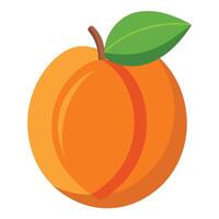 An orange fruit with a leaf on it vector