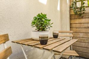 A table with two cups and a plant on it photo