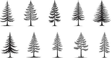Abstract oak tree line art illustration with a modern artistic touch vector