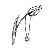 The pendant is round, on a chain, with a stone. A jewelry pendant suspended from a tulip. A black and white graphic illustration made by hand. Isolate on a white background. Design element. vector