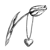 A heart-shaped pendant on a chain. A jewelry pendant suspended from a tulip. A black and white graphic illustration made by hand. Isolate on a white background. Design element vector