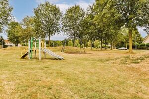 A playground with a slide and a tree photo