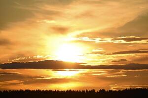 The setting sun on the background of the forest horizon. photo