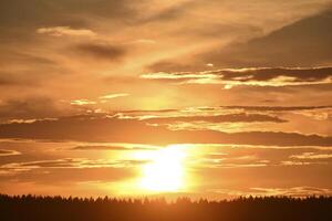 The setting sun on the background of the forest horizon. photo
