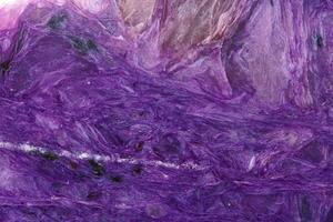 macro mineral stone Charoite on a white background photo