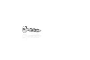 macro screw of silver color on a white background photo