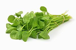 A Vibrant Array of Leafy Vegetables. photo