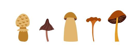 Set of different autumn mushrooms. Autumn, nature, mushrooms. illustration in flat style. vector