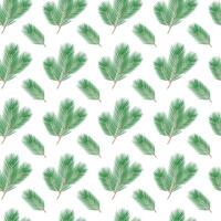 Undecked Fluffy pine branches Seamless pattern Isolated on white. Wallpaper or wrapping design idea. illustration Cards poster, banner, greeting, price, label or web decorative background idea vector