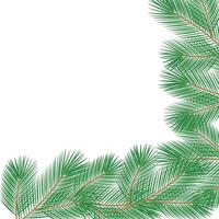 Fuzzy pine branches without decoration Corner frame border. Copy space Cards or Lettering template. Isolated illustration Cards poster, banner, brochure, greeting, price, label or web template vector