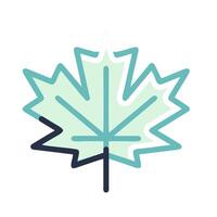 A maple leaf icon on a white background vector