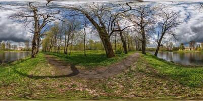 360 hdri panorama view on pedestrian walking path among poplar grove with clumsy branches near lake in full seamless spherical equirectangular projection ready VR AR content photo