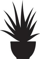 Aloe Vera Drawing Image vector