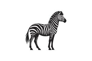 a zebra is standing in front of a white background vector